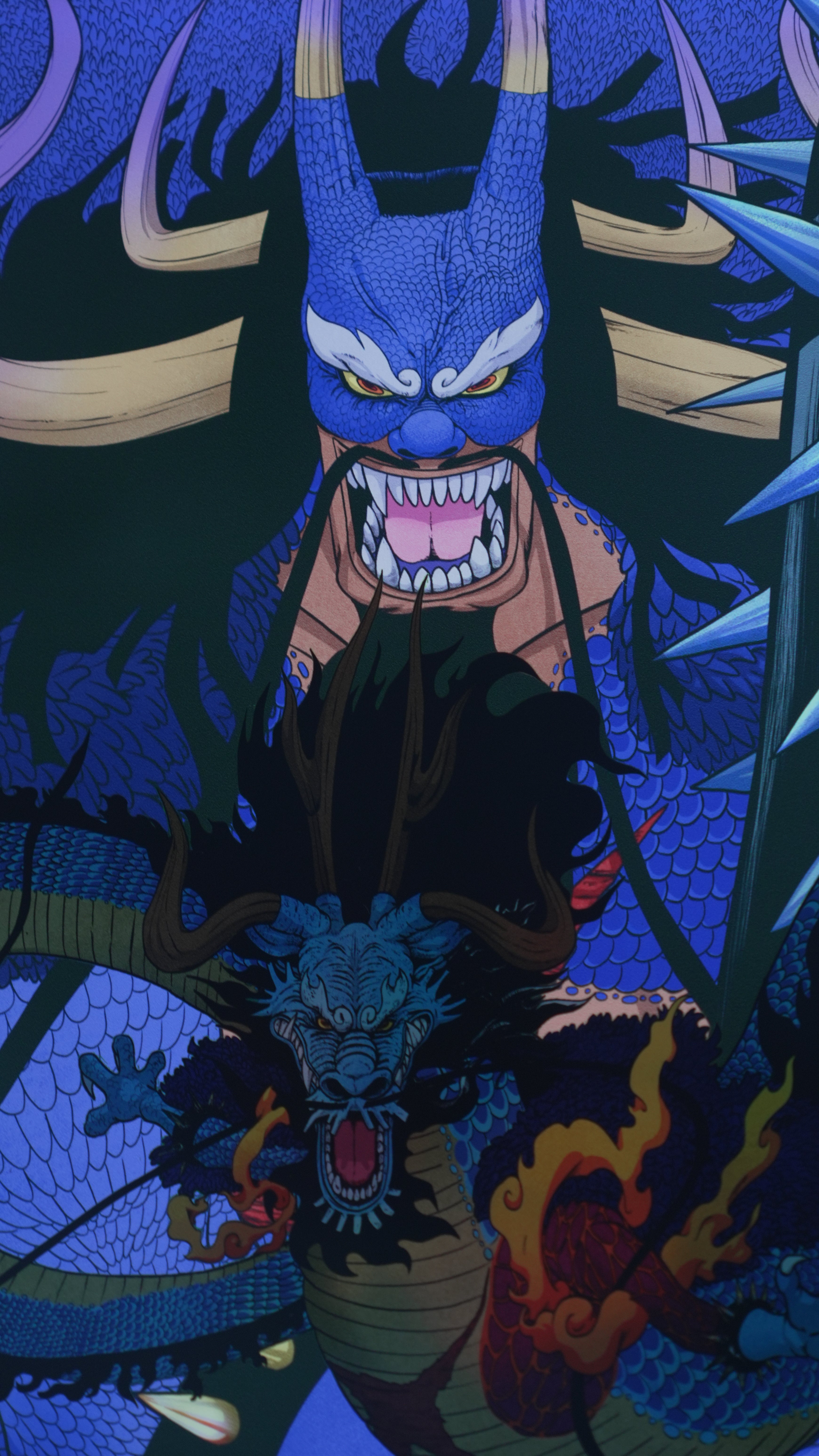 Kaido - King of the Beasts 3/16” Acrylic Panel - One Piece